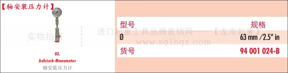 德國(guó)JUNG千斤頂配件：軸安裝壓力計(jì)