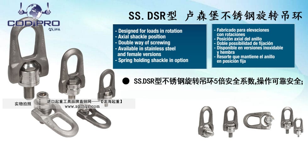 盧森堡SS.DSR型旋轉(zhuǎn)吊環(huán)圖